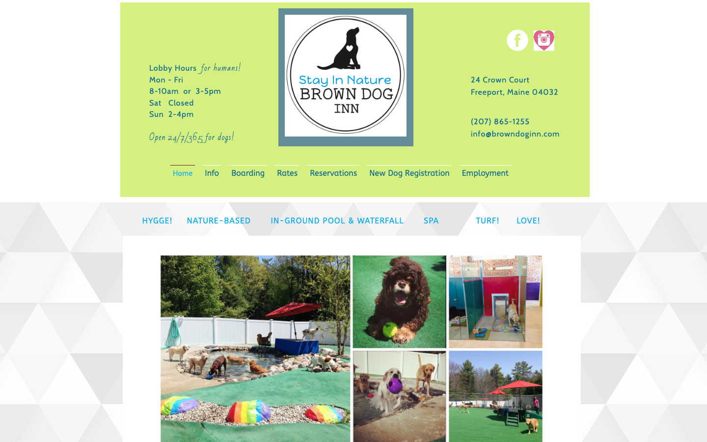Existing Brown Dog Inn homepage with a fixed-width lime green header, centered logo, navigation, and a dense image gallery